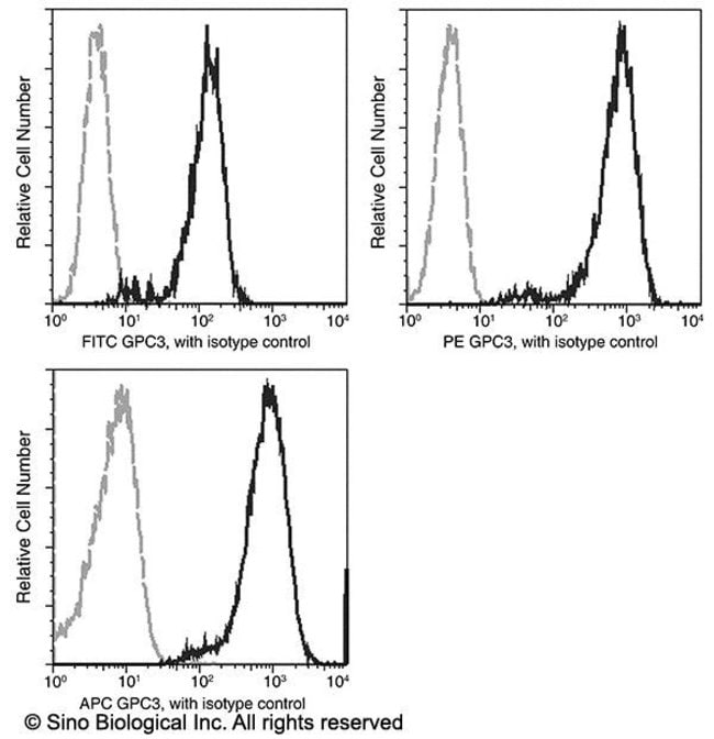 100TEST GLYPICAN 3 ANTIBODY APC