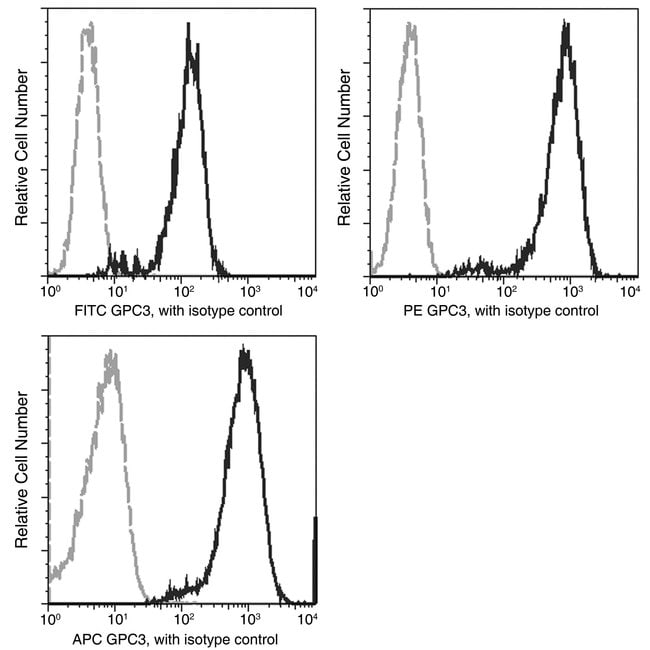 100TEST GLYPICAN 3 ANTIBODY PE
