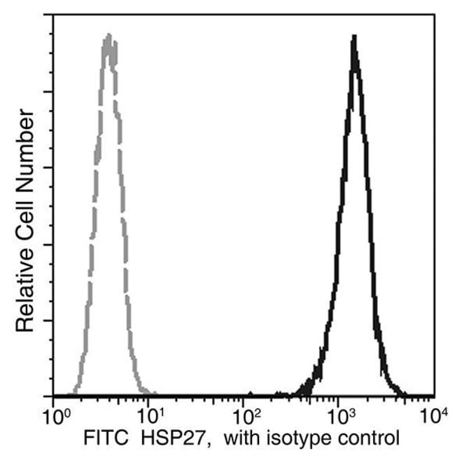 100TEST HSP27 ANTIBODY FITC