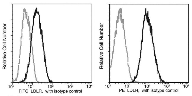 100TEST LDLR ANTIBODY PE