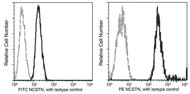 100TEST NICASTRIN ANTIBODY PE