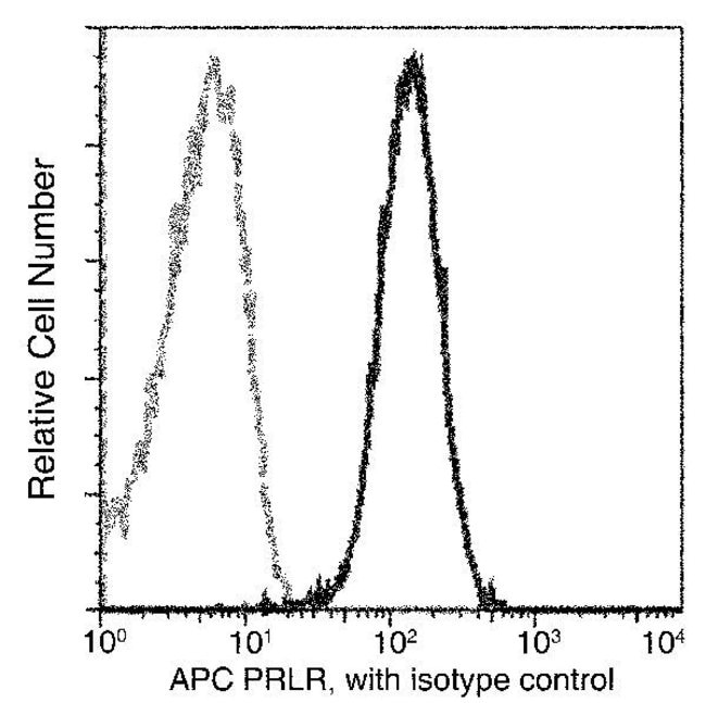 100TEST PROLACTIN RECEPTOR ANTIBODY AP