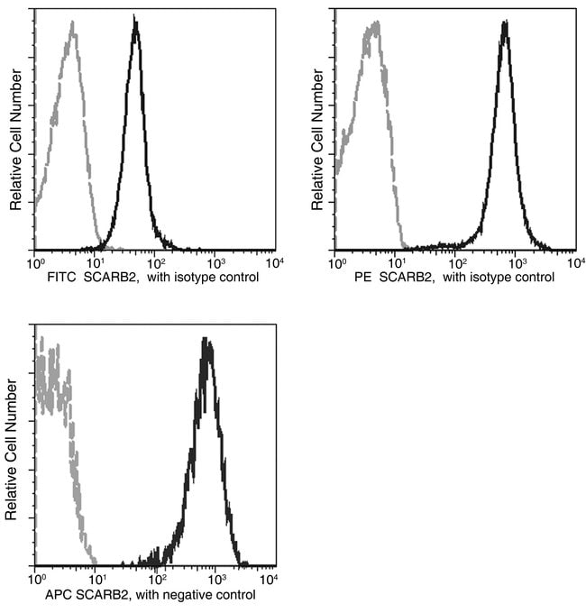 100TEST LIMP2 ANTIBODY FITC