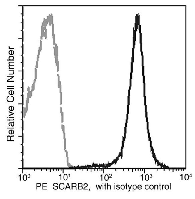 100TEST LIMP2 ANTIBODY PE