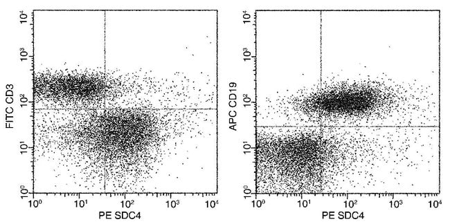 100TEST SYNDECAN 4 ANTIBODY PE