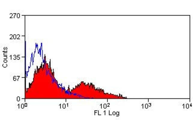 100UG VCAM-1 (CD106) ANTIBODY FITC