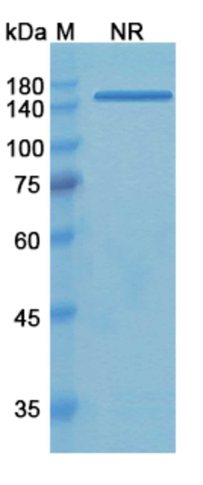 100UG TADOCIZUMAB ANTIBODY 100 UG