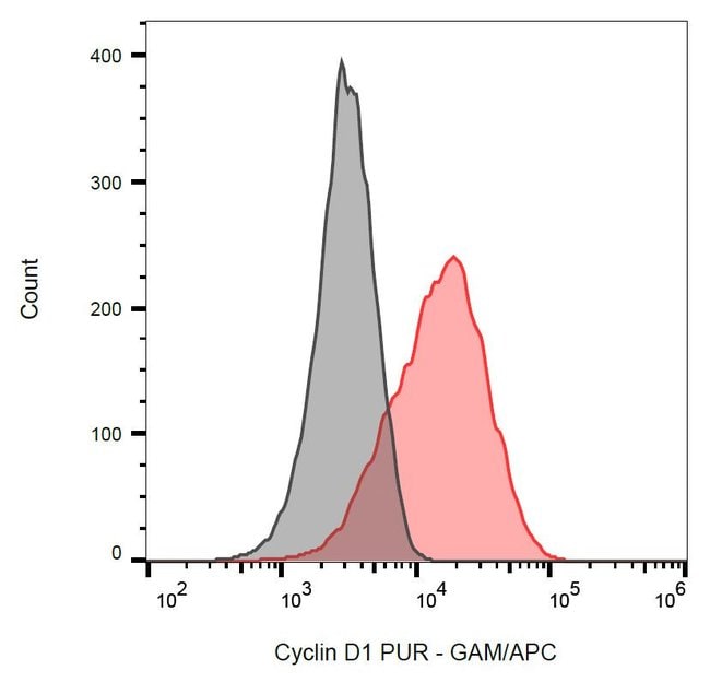 100UG CYCLIN D1 ANTIBODY 100 UG
