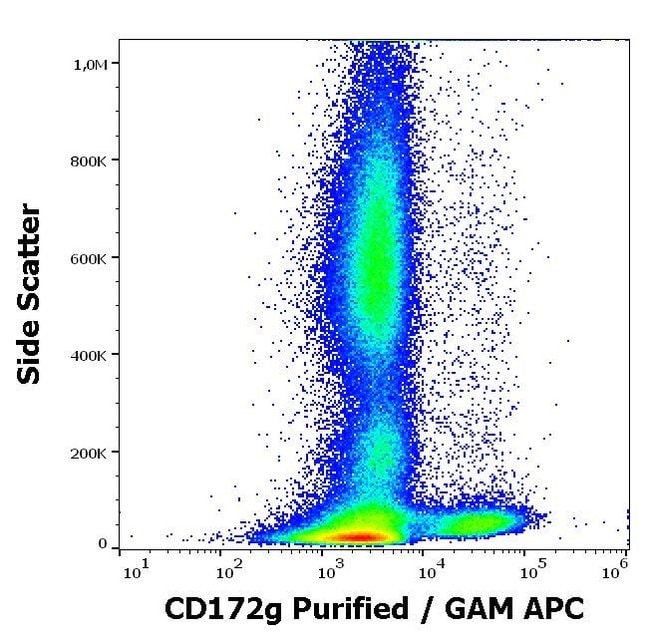 100UG SIRP GAMMA ANTIBODY 100 UG
