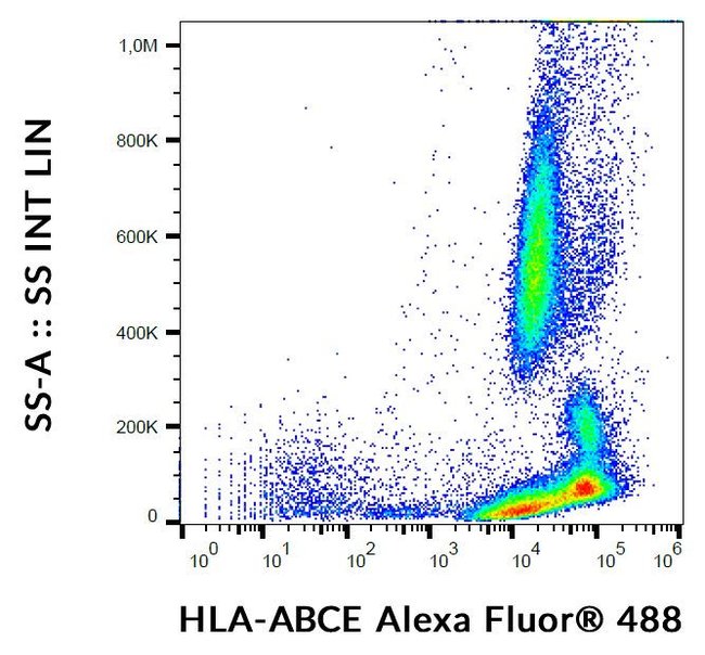100UG HLA-ABCE ANTIBODY ALEXA FLUOR 100