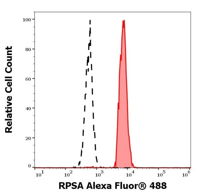 100UG RPSA ANTIBODY ALEXA FLUOR 488 100