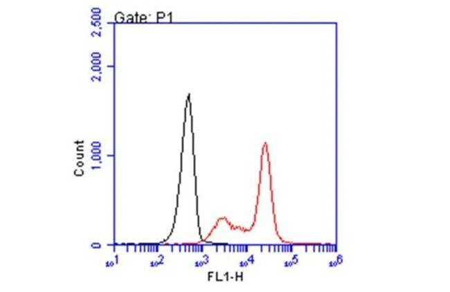 100UL HLA-A2 RMAB 100 UL