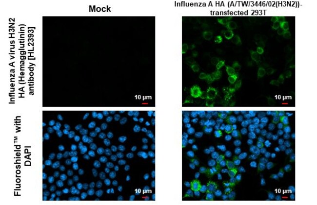 100UL INFLUENZA A H3N2 HA (A/TW RMAB 100
