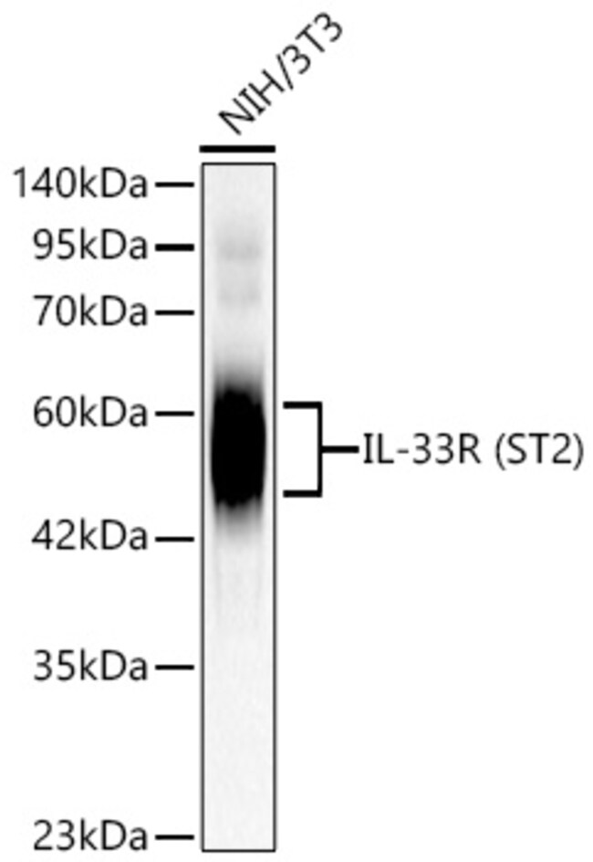 ST2 RMAB 100 UL