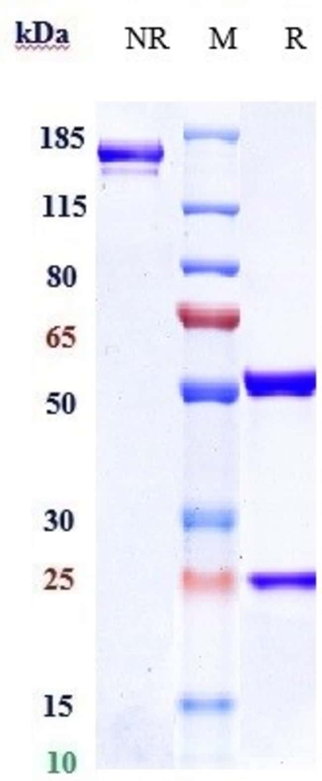 VADASTUXIMAB RMAB 1 MG