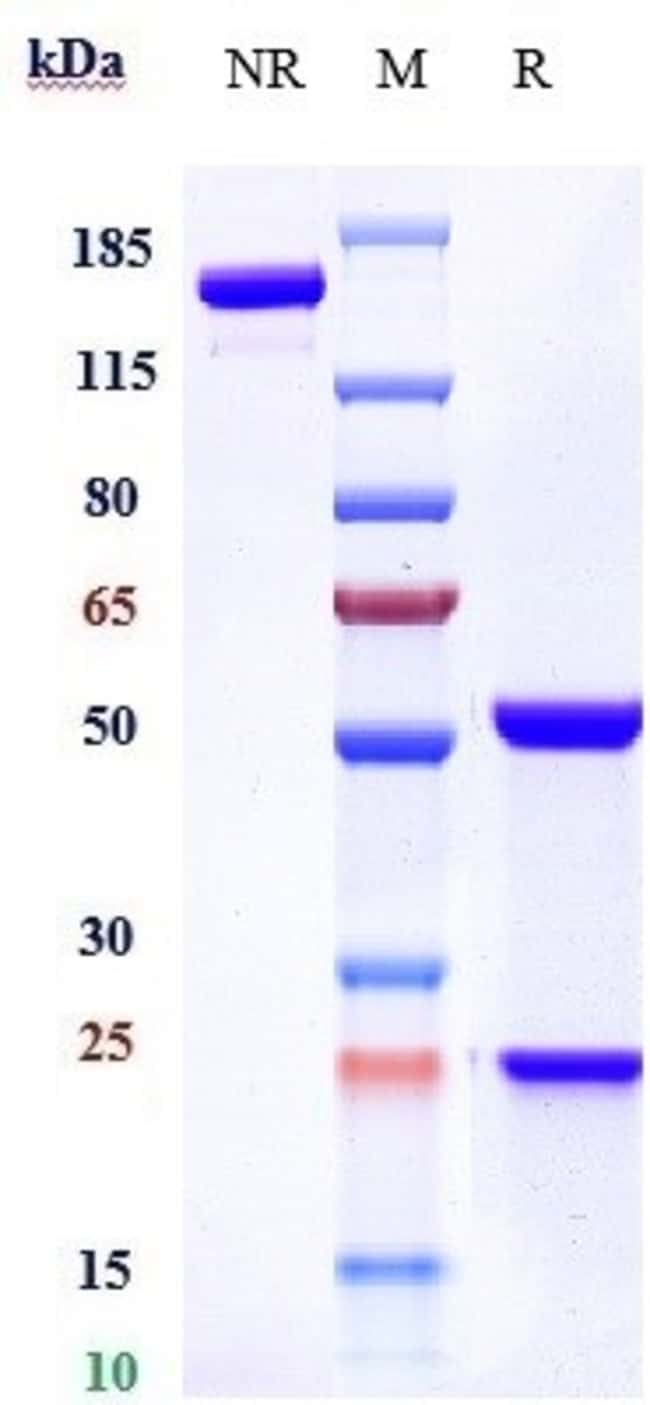 QUETMOLIMAB RMAB 1 MG