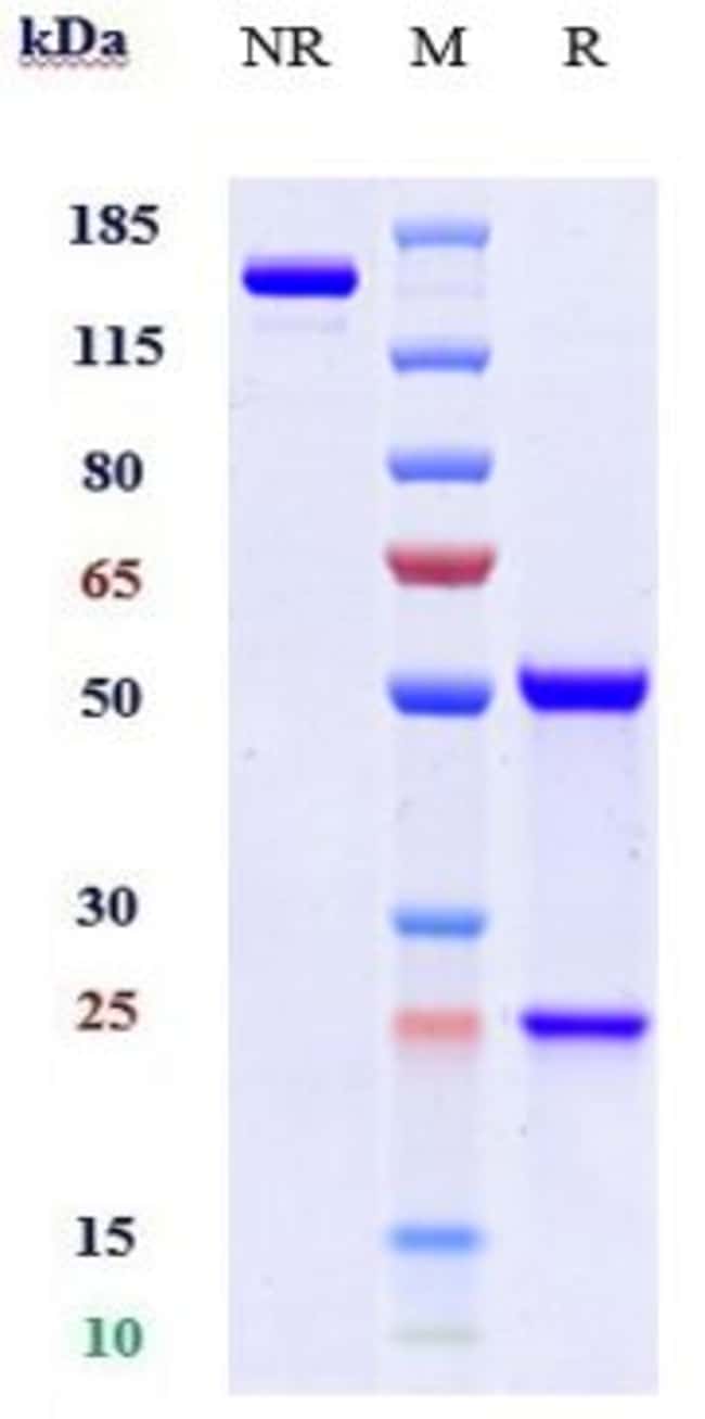 SAMALIZUMAB RMAB 1 MG