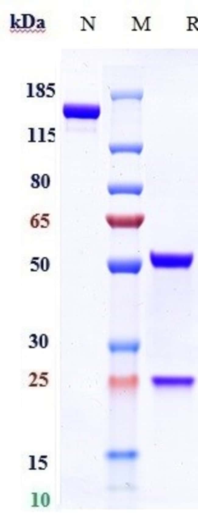 VOLAGIDEMAB RMAB 1 MG
