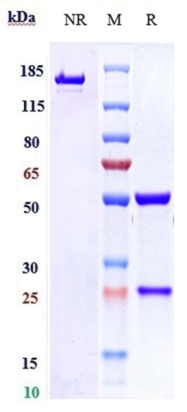 VOPRATELIMAB RMAB 1 MG