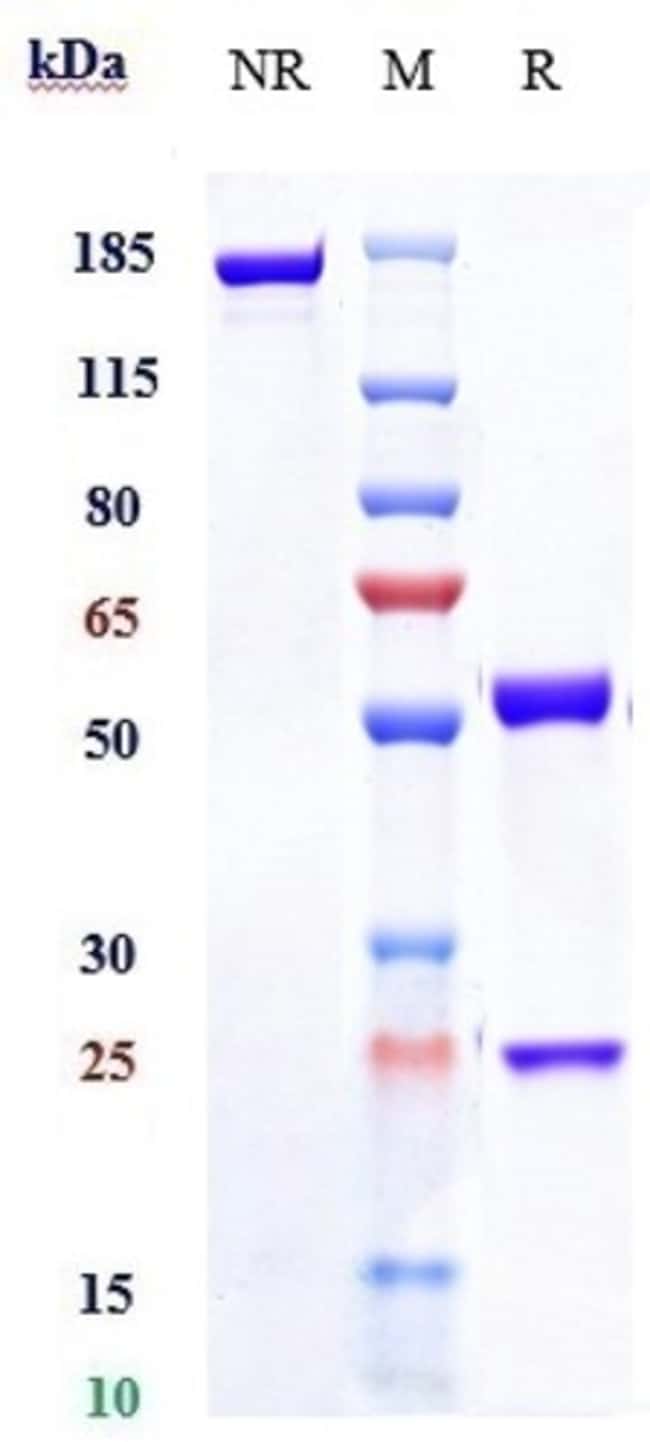 FLETIKUMAB RMAB 1 MG