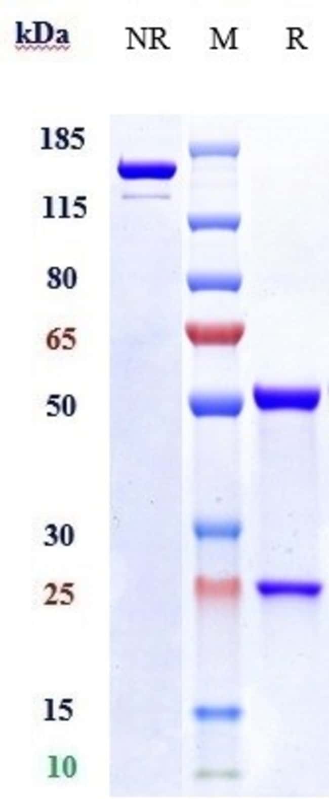 JTX-8064 BIOSIMILAR RMAB 1 MG