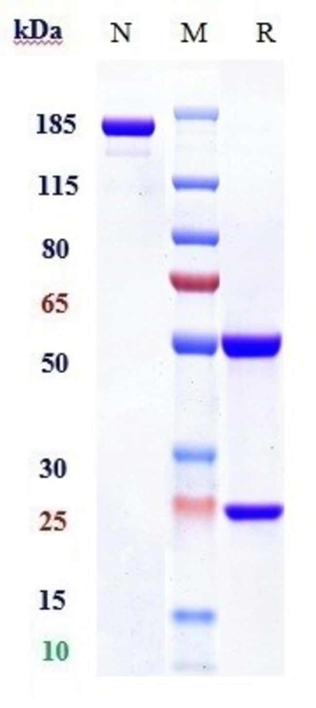 SABATOLIMAB RMAB 1 MG