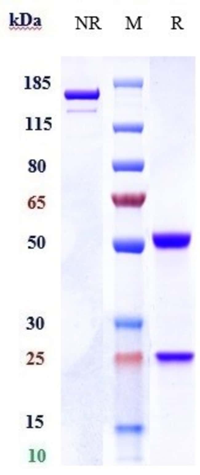 RALUDOTATUG RMAB 1 MG