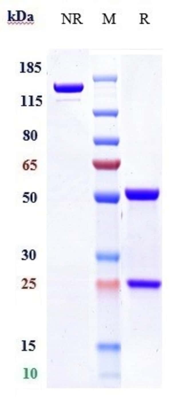 EMICIZUMAB RMAB 1 MG