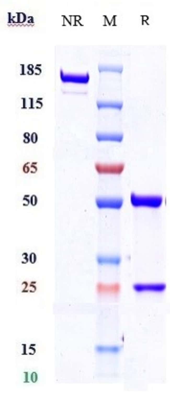 ONTUXIZUMAB RMAB 1 MG