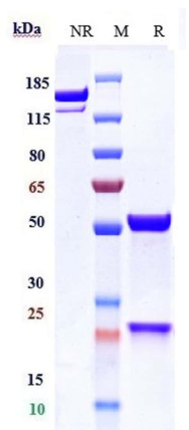 APITEGROMAB RMAB 1 MG