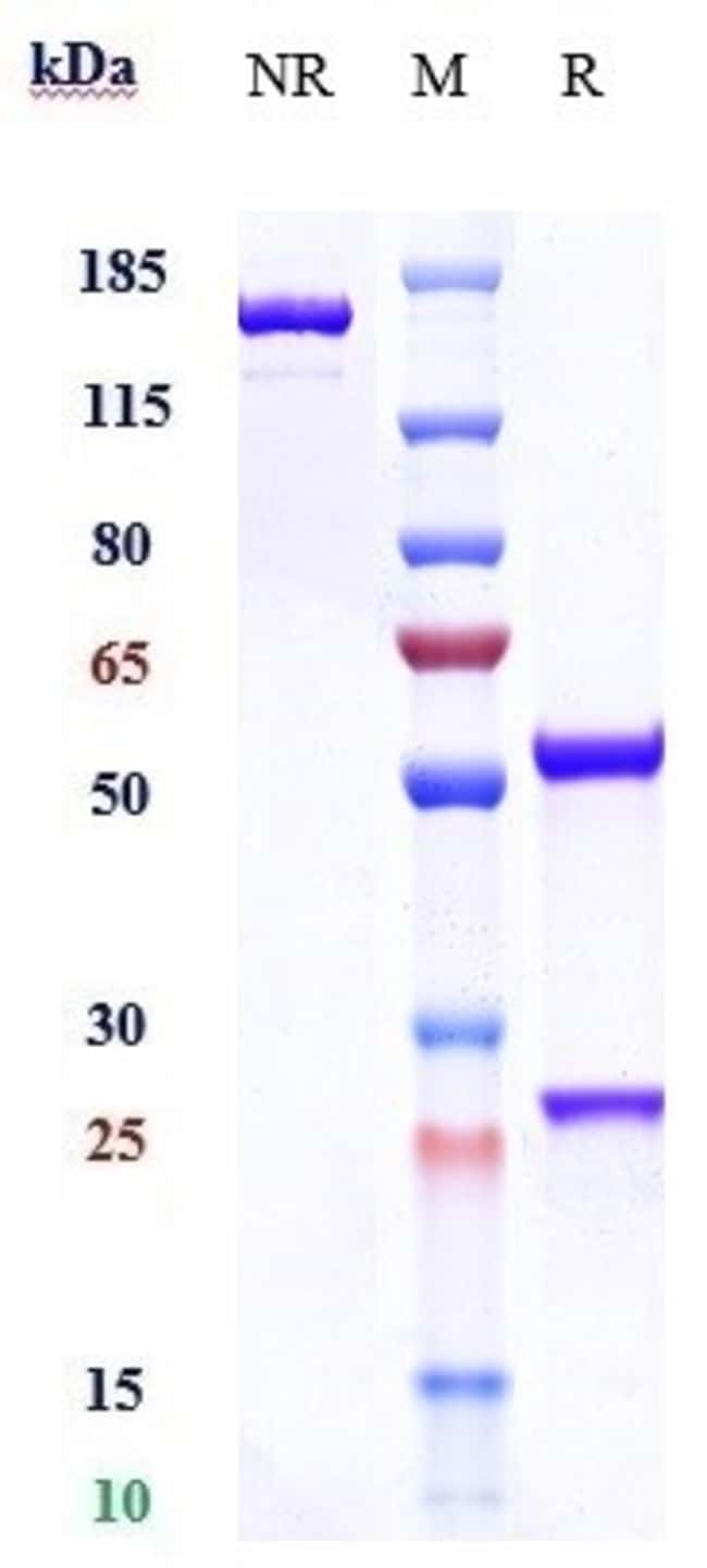 ADEBRELIMAB RMAB 1 MG