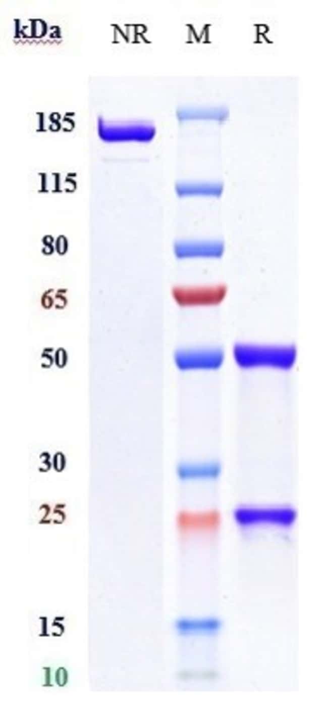 COBOLIMAB RMAB 1 MG