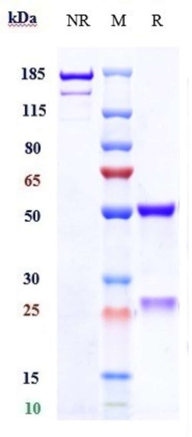 GALIXIMAB RMAB 1 MG