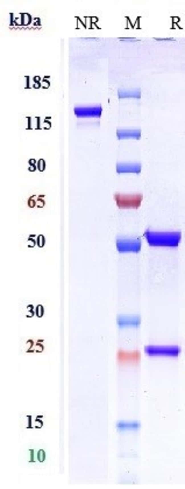 DEPEMOKIMAB RMAB 1 MG