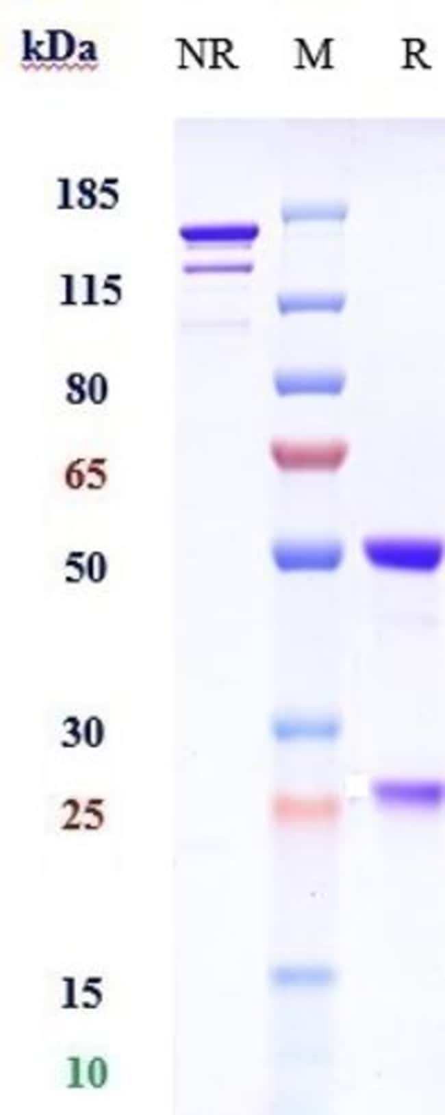 ABELACIMAB RMAB 1 MG