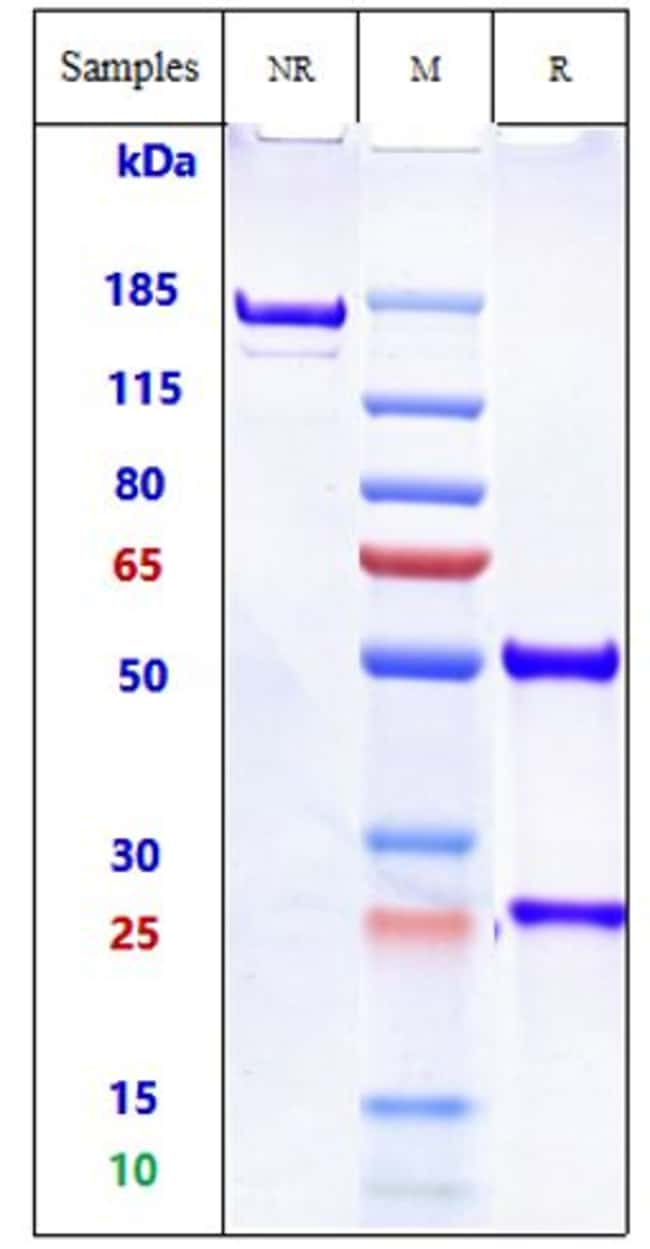 DINUTUXIMAB RMAB 1 MG