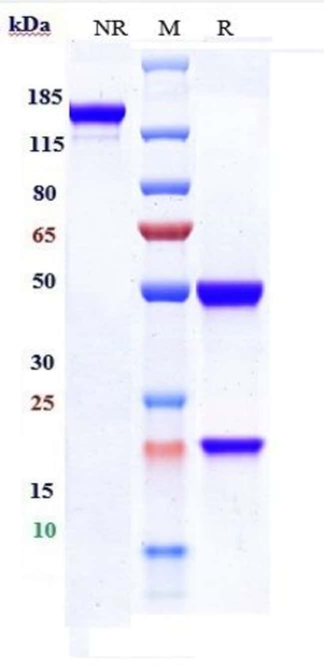 EMAPALUMAB RMAB 1 MG
