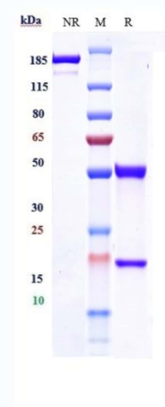 FIGITUMUMAB RMAB 1 MG