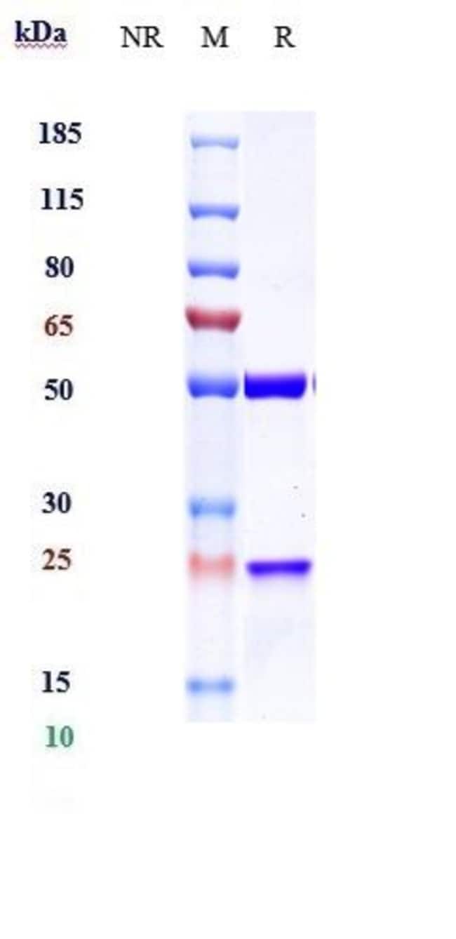 CENDAKIMAB RMAB 1 MG