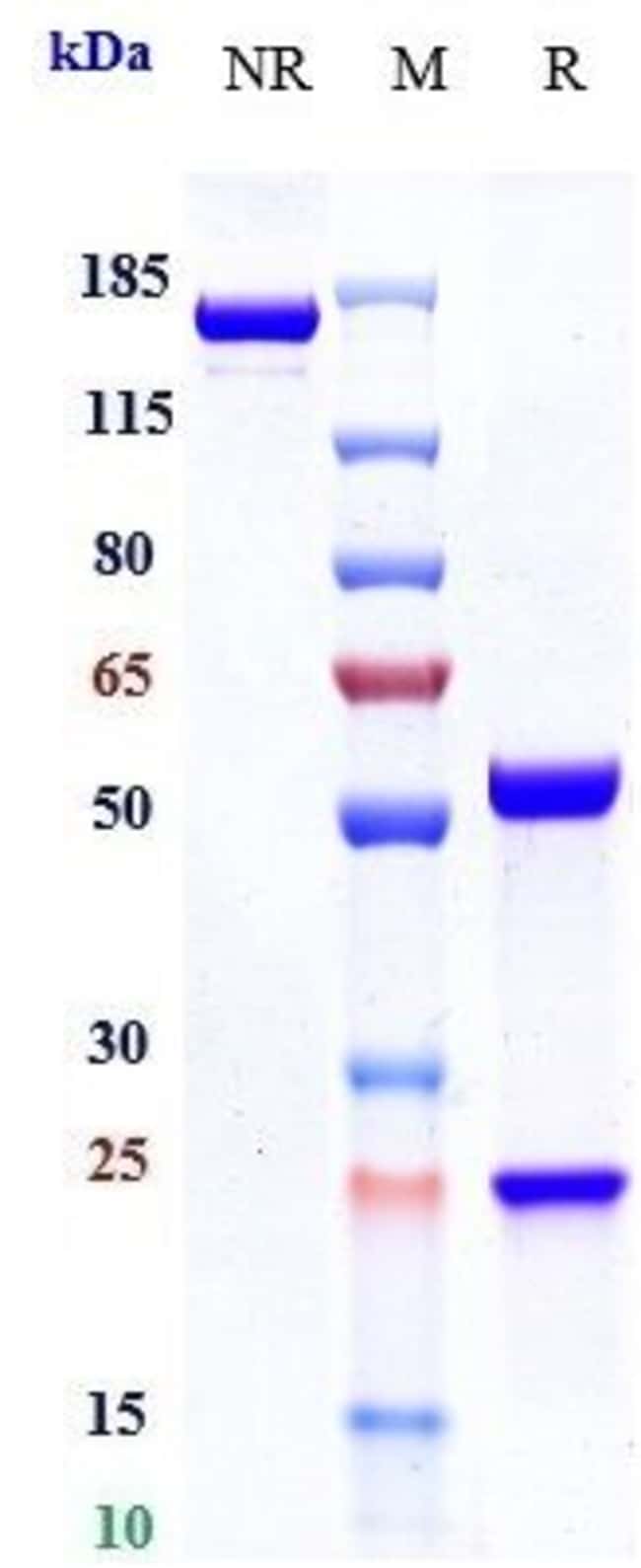 FIANLIMAB RMAB 1 MG