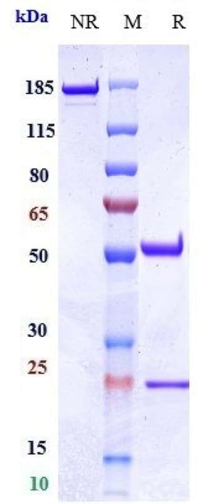 IERAMILIMAB RMAB 1 MG