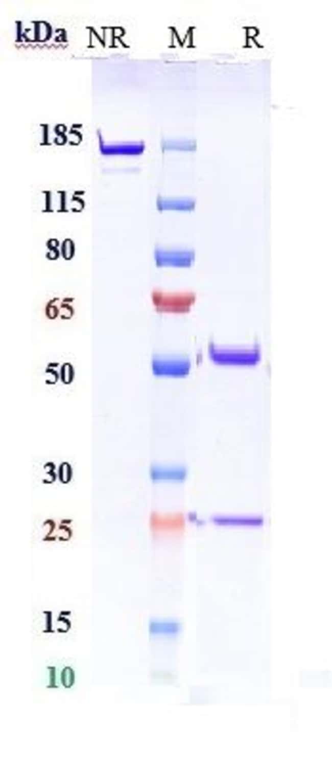 POZELIMAB RMAB 1 MG