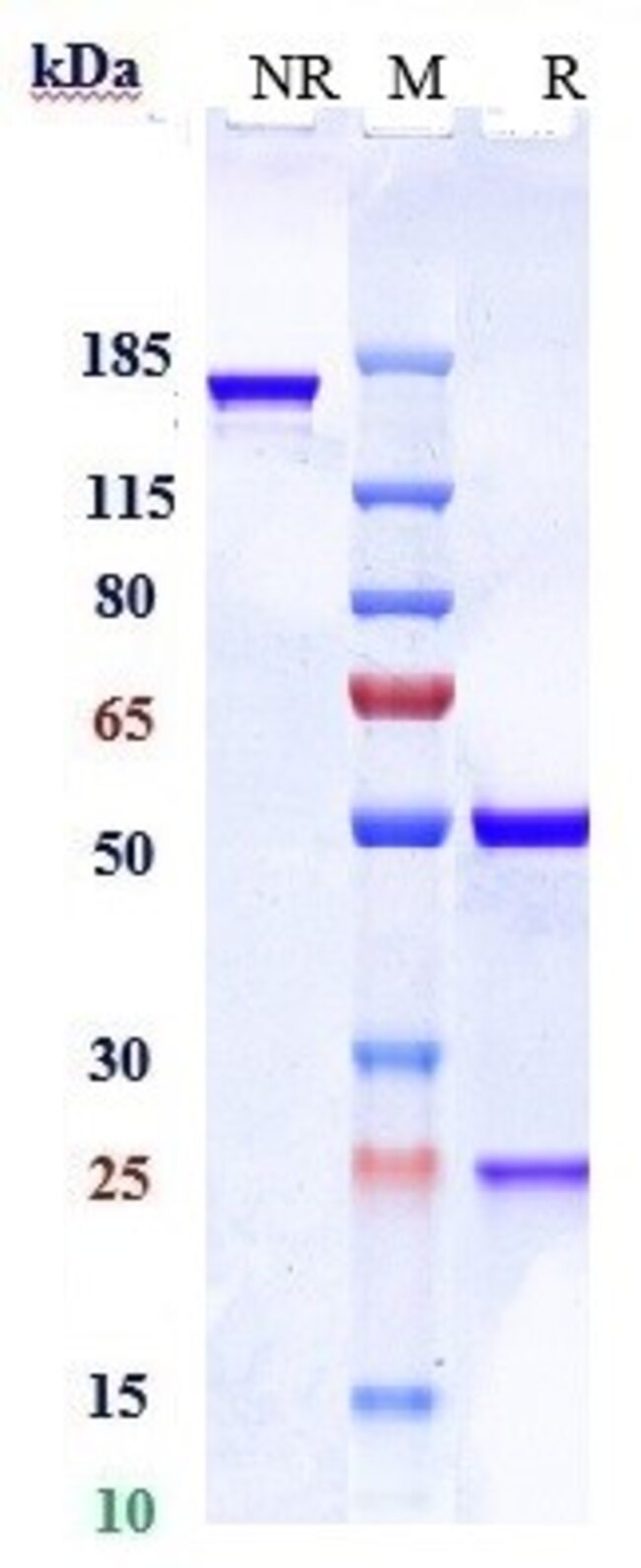 PCSK9 BIOSIMILAR RMAB 1 MG