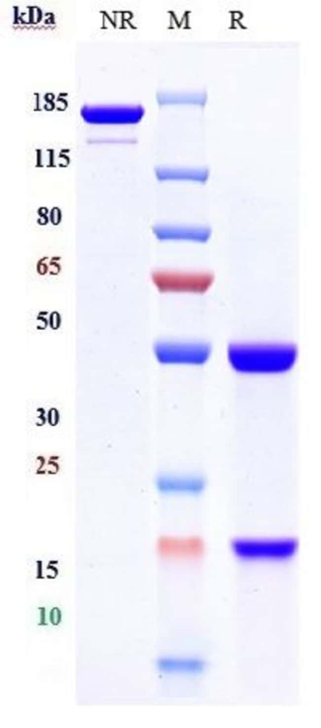 PCSK9 BIOSIMILAR RMAB 1 MG