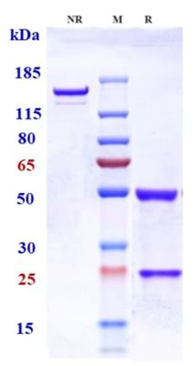 TELAZORLIMAB RMAB 1 MG