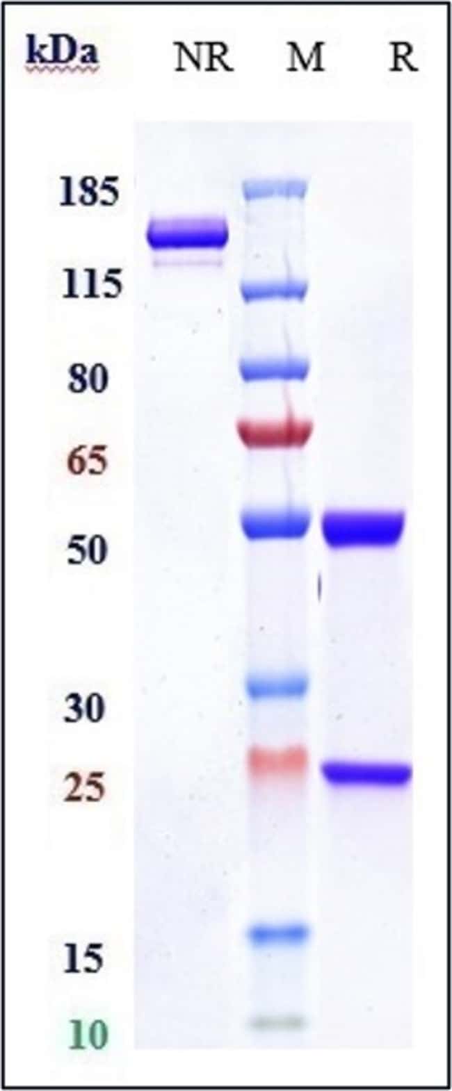 LUCATUMUMAB RMAB 1 MG