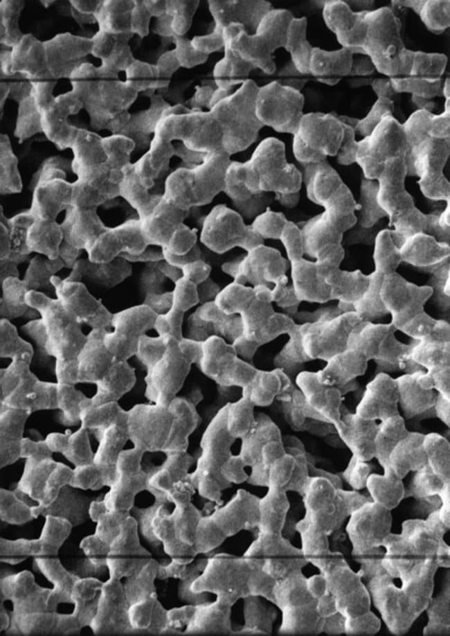 MilliporeSigma SILVER MEMBRANE .45UM 25M