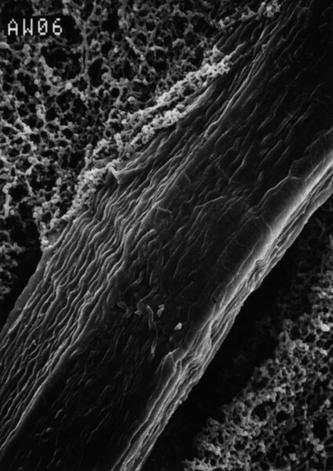MilliporeSigma Verstarkte Membranfilter,