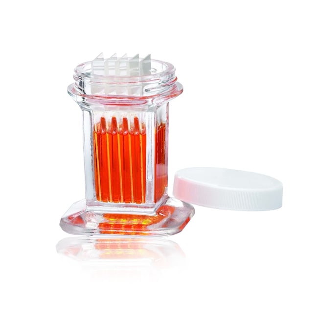 DWK Life Sciences Glas-Fa¨rbeschalen fu¨