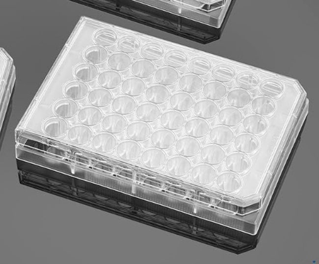Corning BioCoat Poly-D-Lysine Multiwell